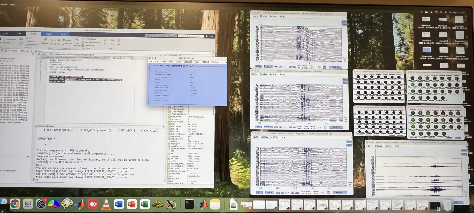 EEG traces and scalp maps displayed during signal processing