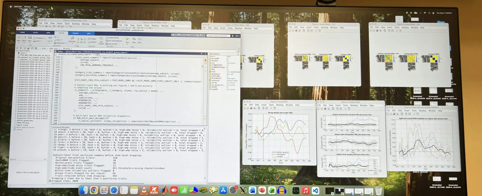 MATLAB code and representational similarity analysis plots