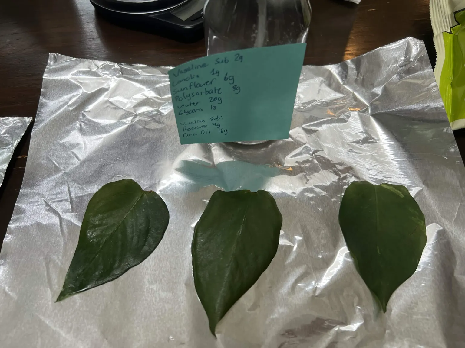 Blueberry leaves laid out on foil with the handwritten occlusive composition notes
