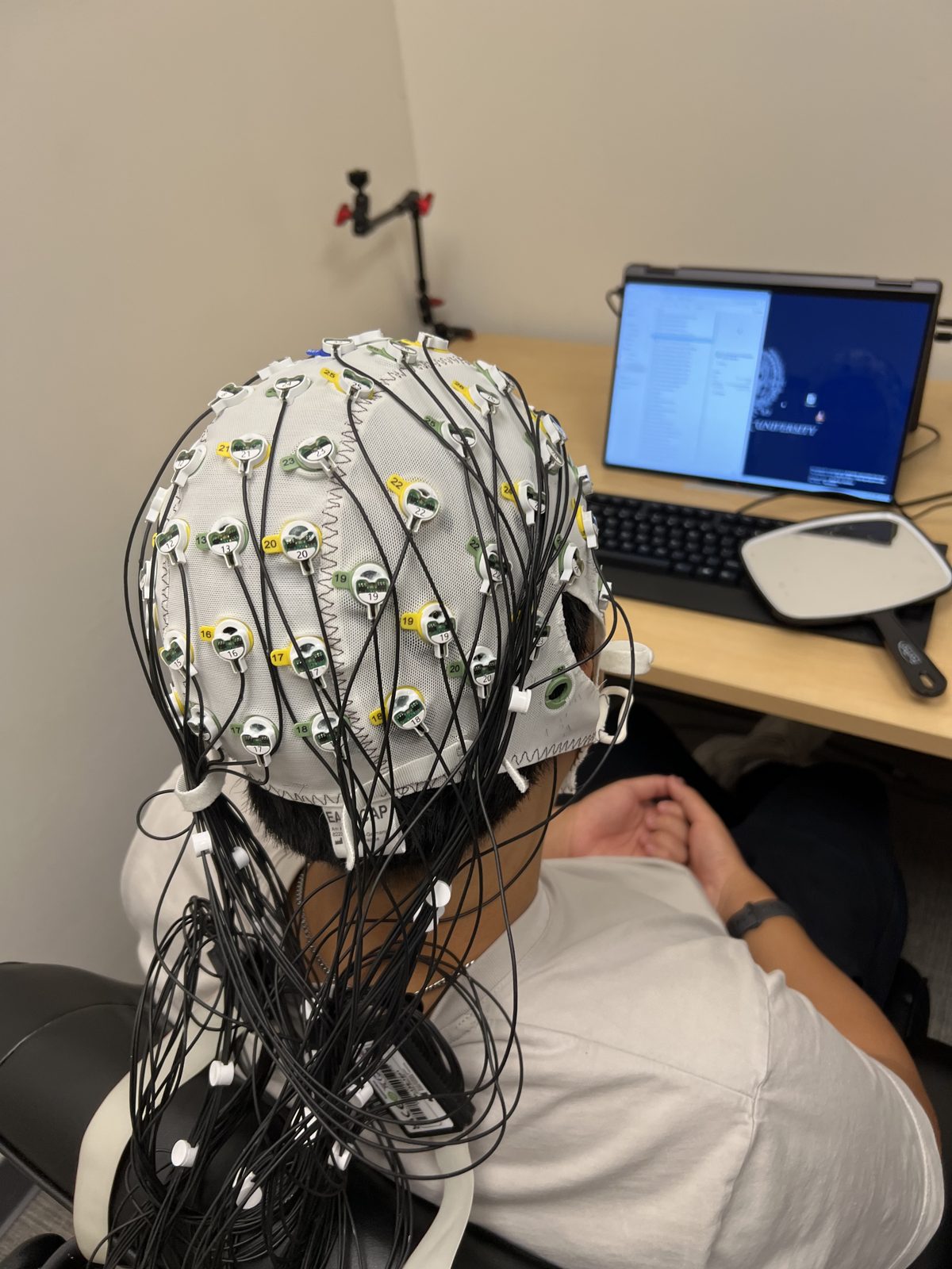 EEG cap used in the aphasia research study