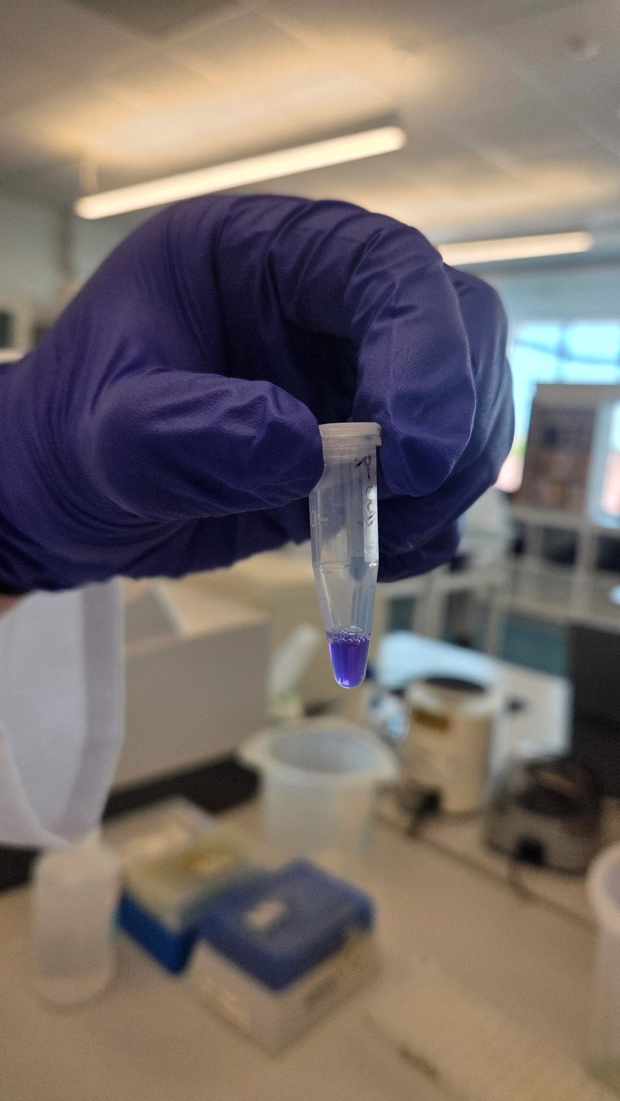 A sample tube being prepared in the lab